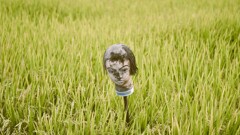 田んぼでポートレート