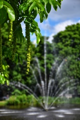 水と緑