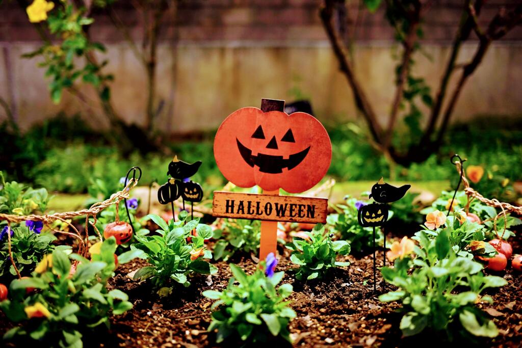 Halloween 2025