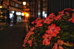 草津の夜