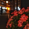 草津の夜