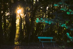 夕暮れ時