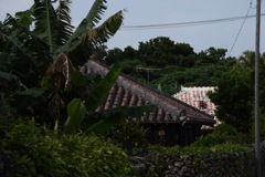 竹富島の集落