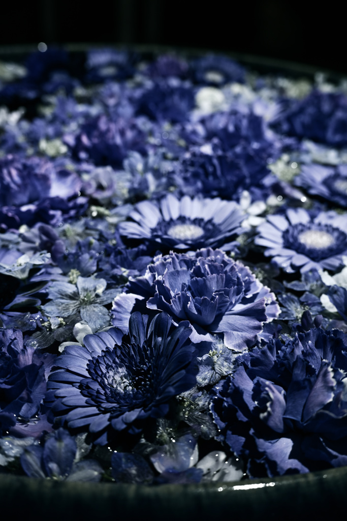 インディゴ・ガーデン