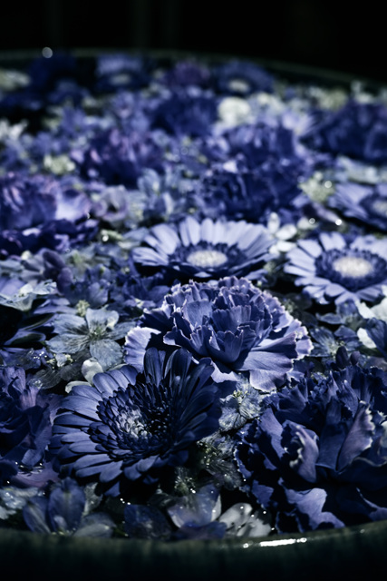 インディゴ・ガーデン