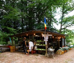 野菜直売店