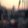 昼と夜の移り変わる時刻