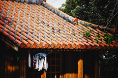 洗濯日和