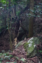 岩肌