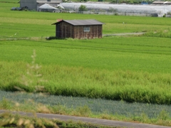 毎日見る景色