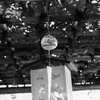 音なき涼