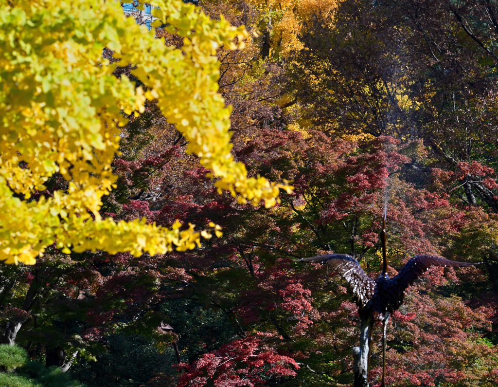 紅葉　日比谷公園③