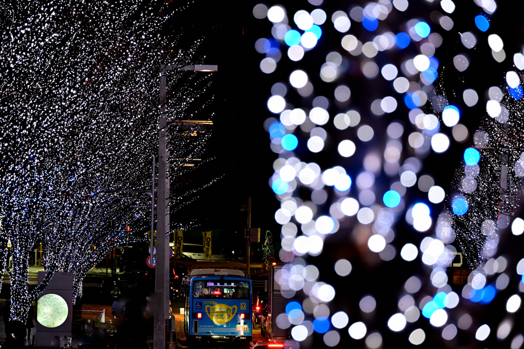 六本木イルミネーション②