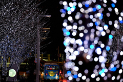 六本木イルミネーション②