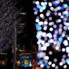 六本木イルミネーション②