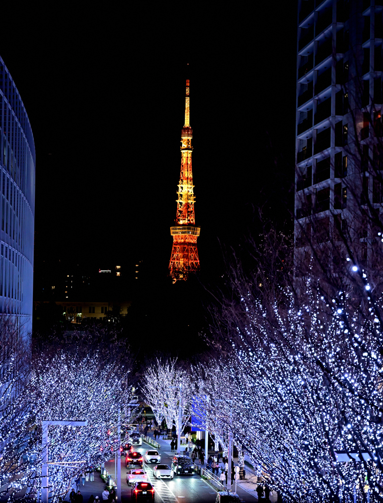 六本木イルミネーション①