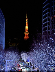 六本木イルミネーション①