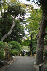 高輪プリンスホテル⑨