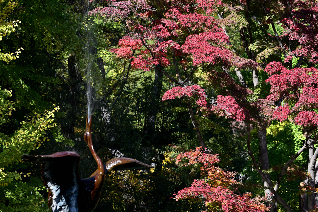 紅葉　日比谷公園①