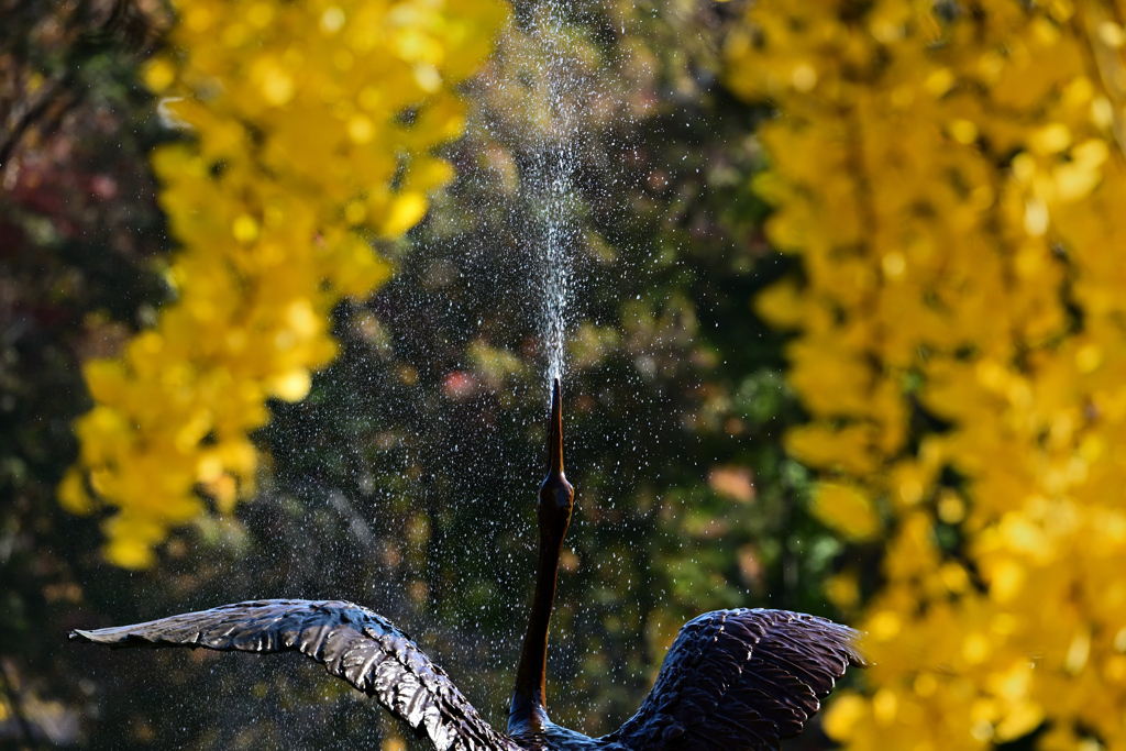 紅葉　日比谷公園④