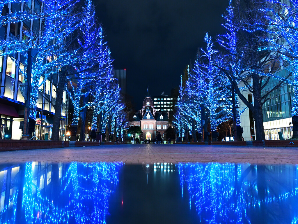 赤れんが庁舎とイルミネーション