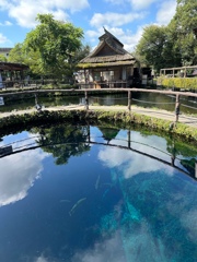 忍野八海