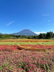 富士山