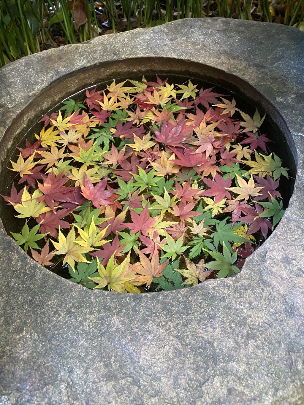 紅葉の花手水