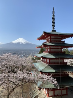 外国人観光客に人気の場所