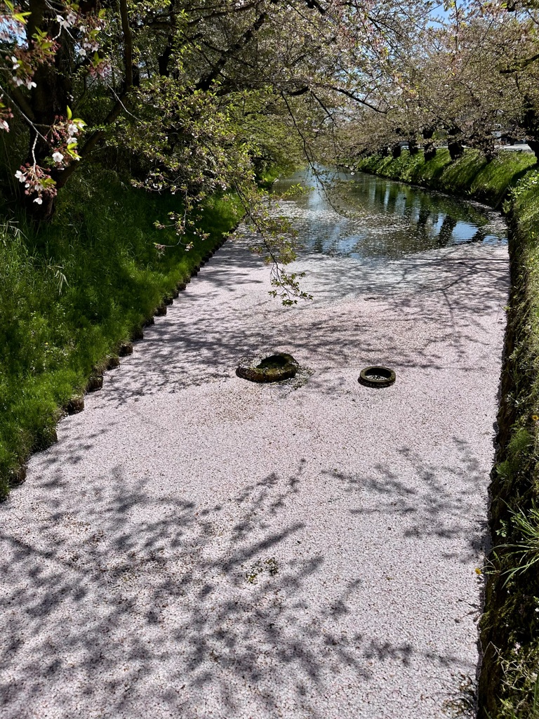花筏
