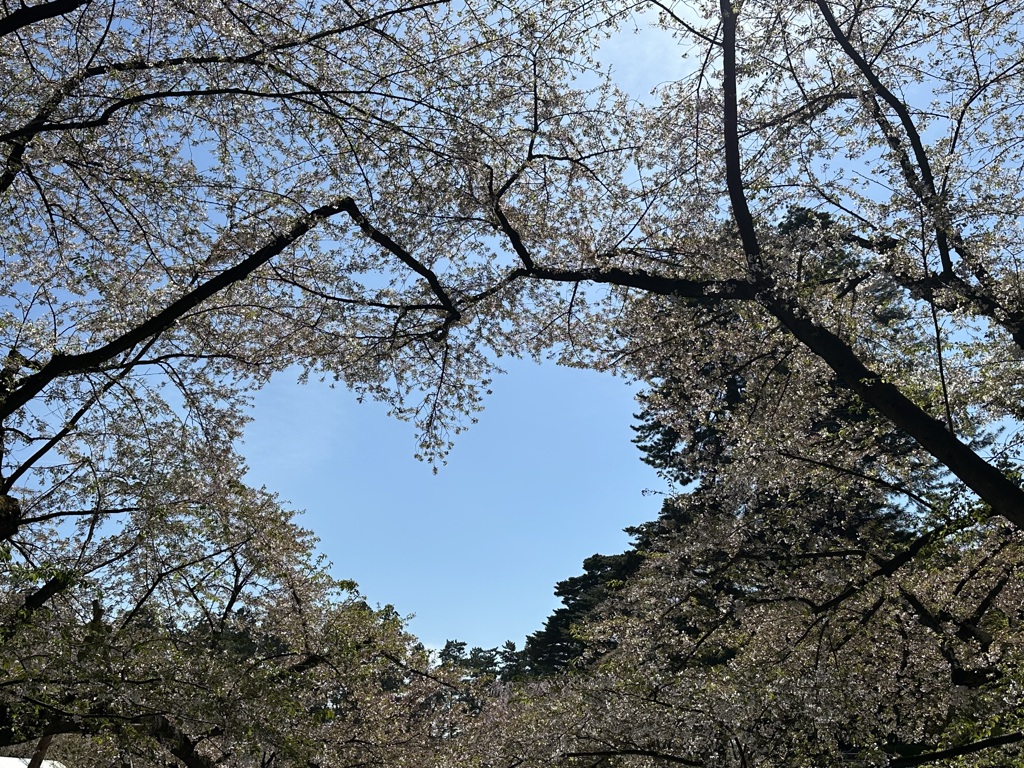 弘前公園