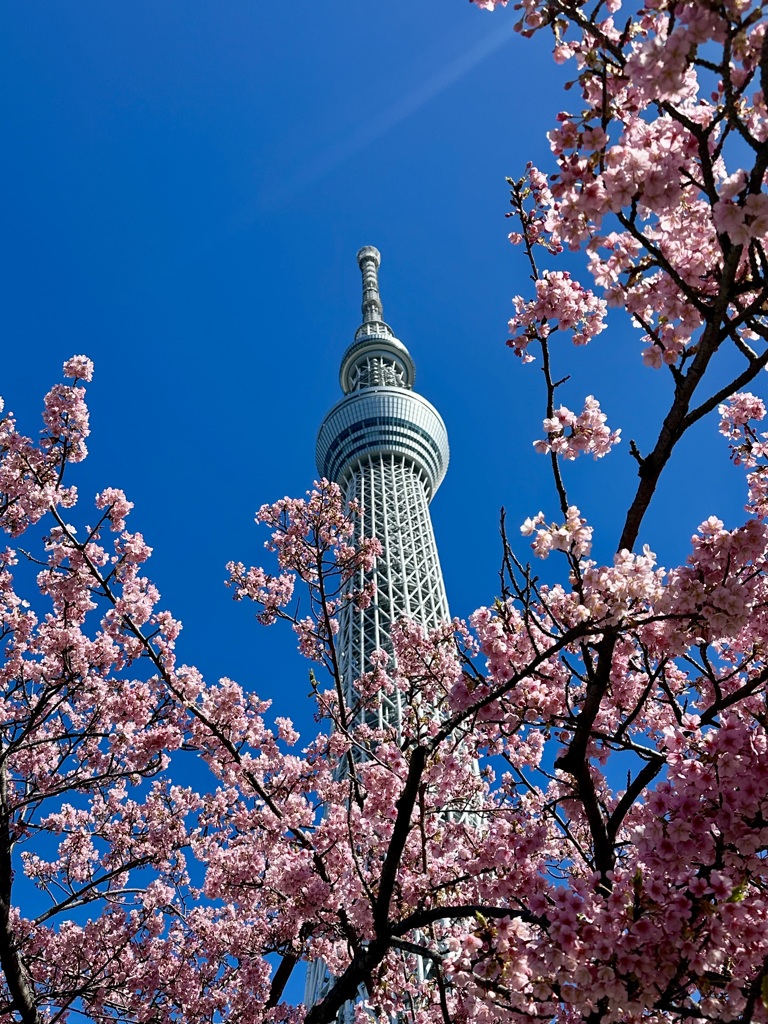 スカイツリー