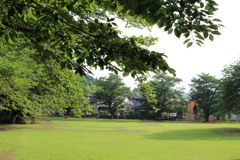 いつもの公園