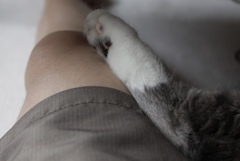 病院前日ののんき