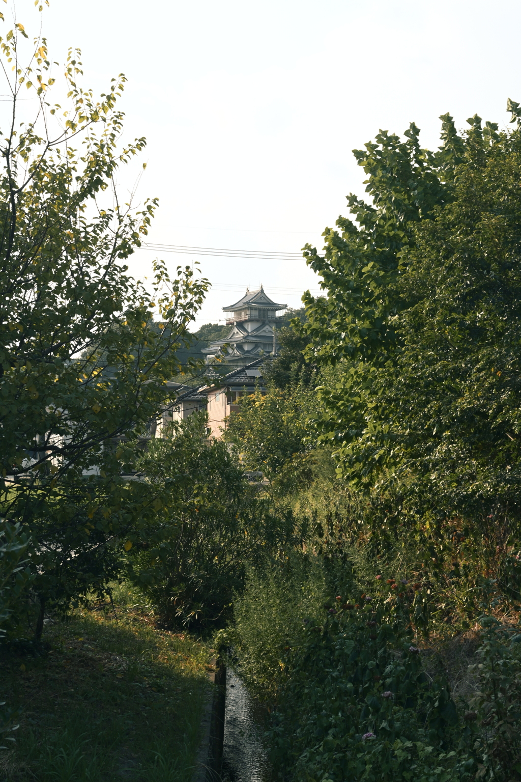 DSC_1812