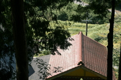 帰省