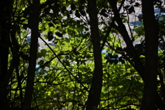 光と影