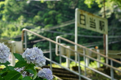 あじさいと秘境駅