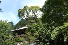 書写山圓教寺‗11