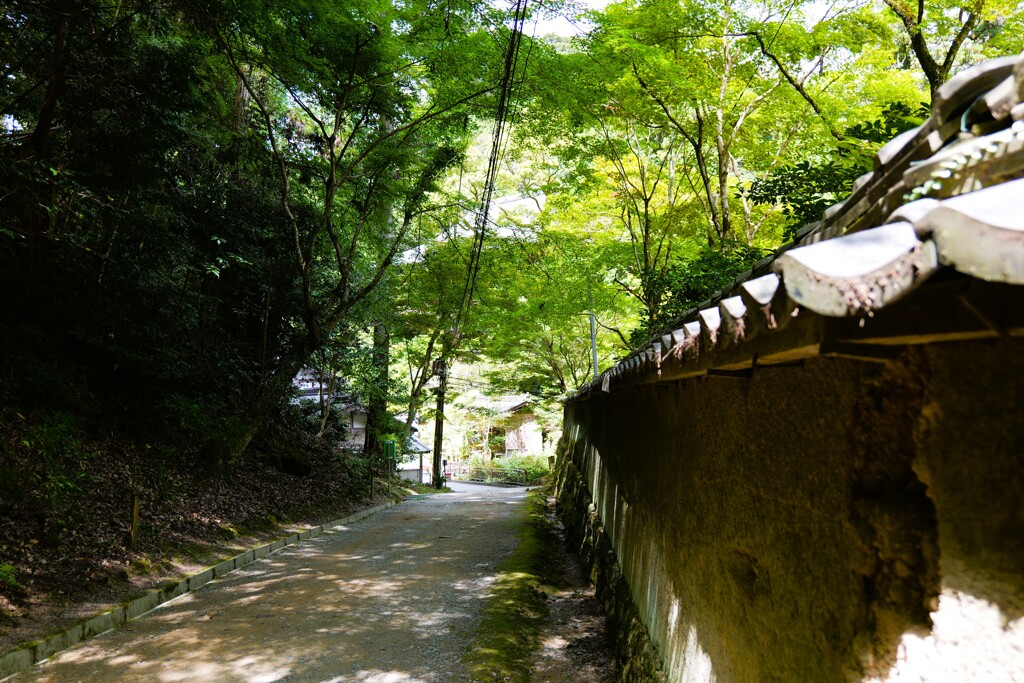 書写山圓教寺‗10