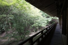 書写山圓教寺_24