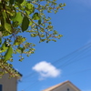 夏空