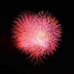 淡い恋花火
