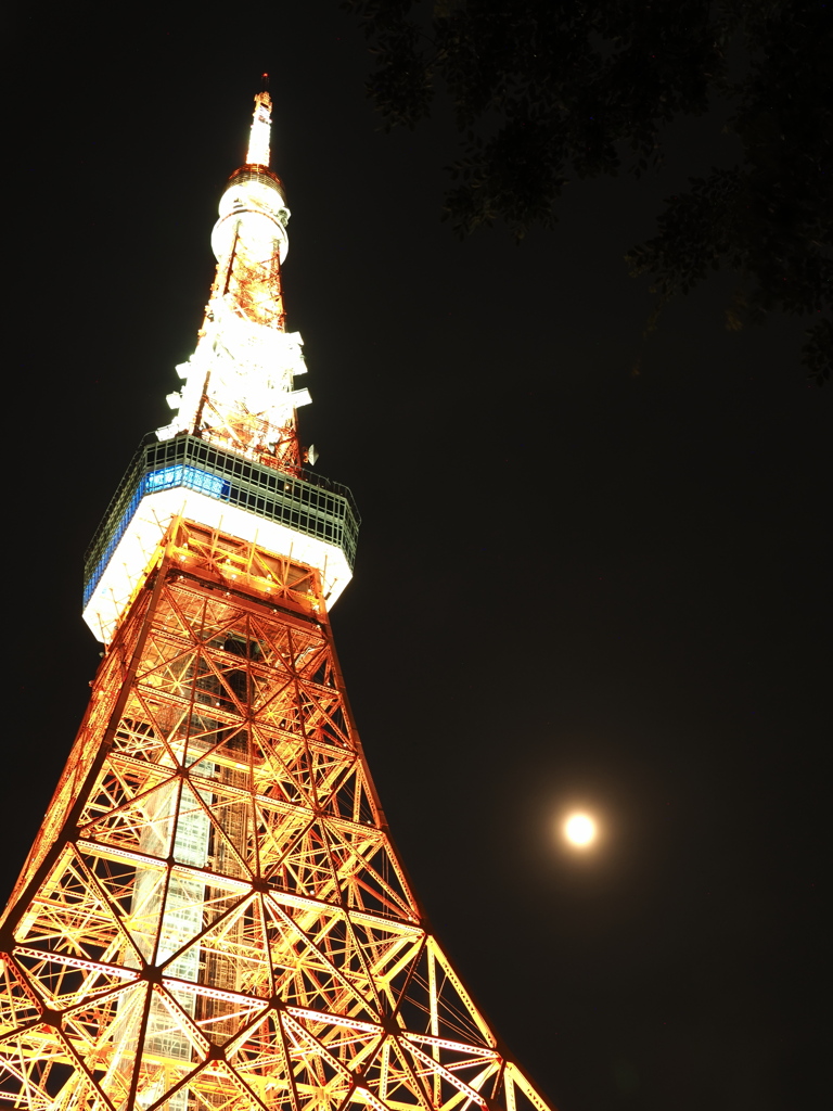 東京タワー×満月③