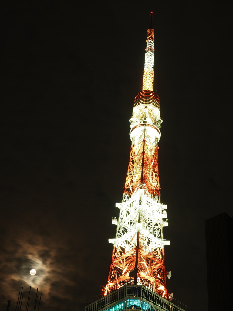 東京タワー×満月①