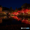 東山動植物園 紅葉ライトアップ 2024