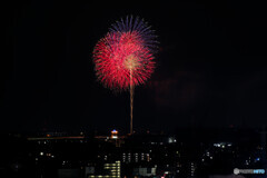 滝の水公園で東海市の花火