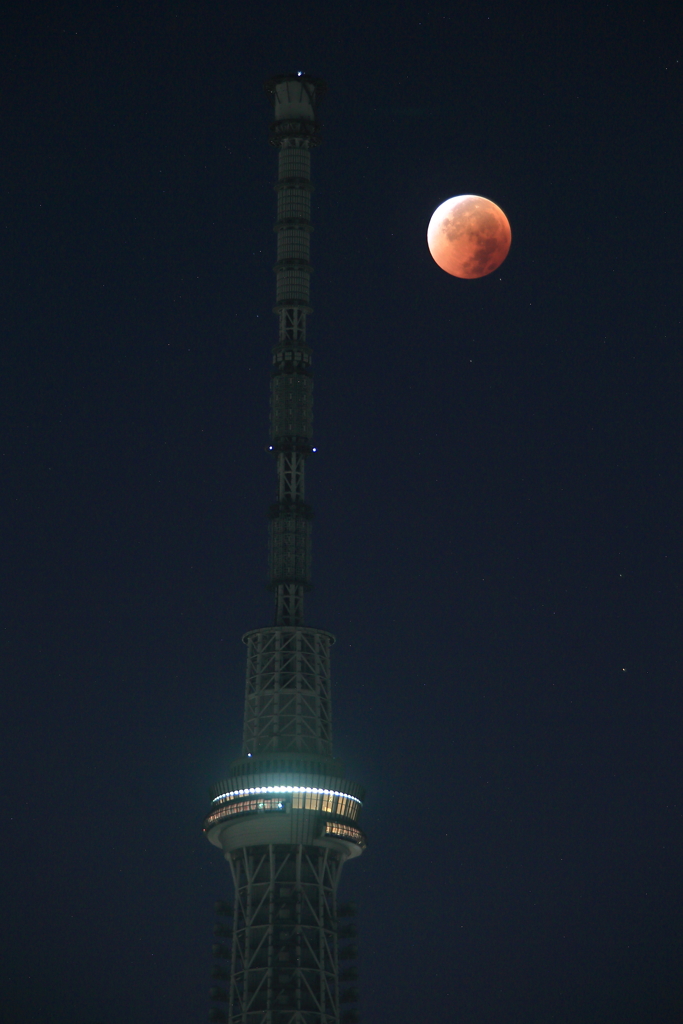 月食とスカイツリー