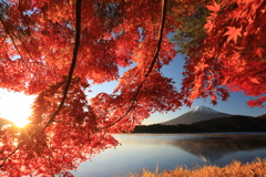 富士山と紅葉