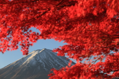 富士山と紅葉2